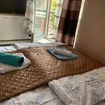 Furo-lak 1